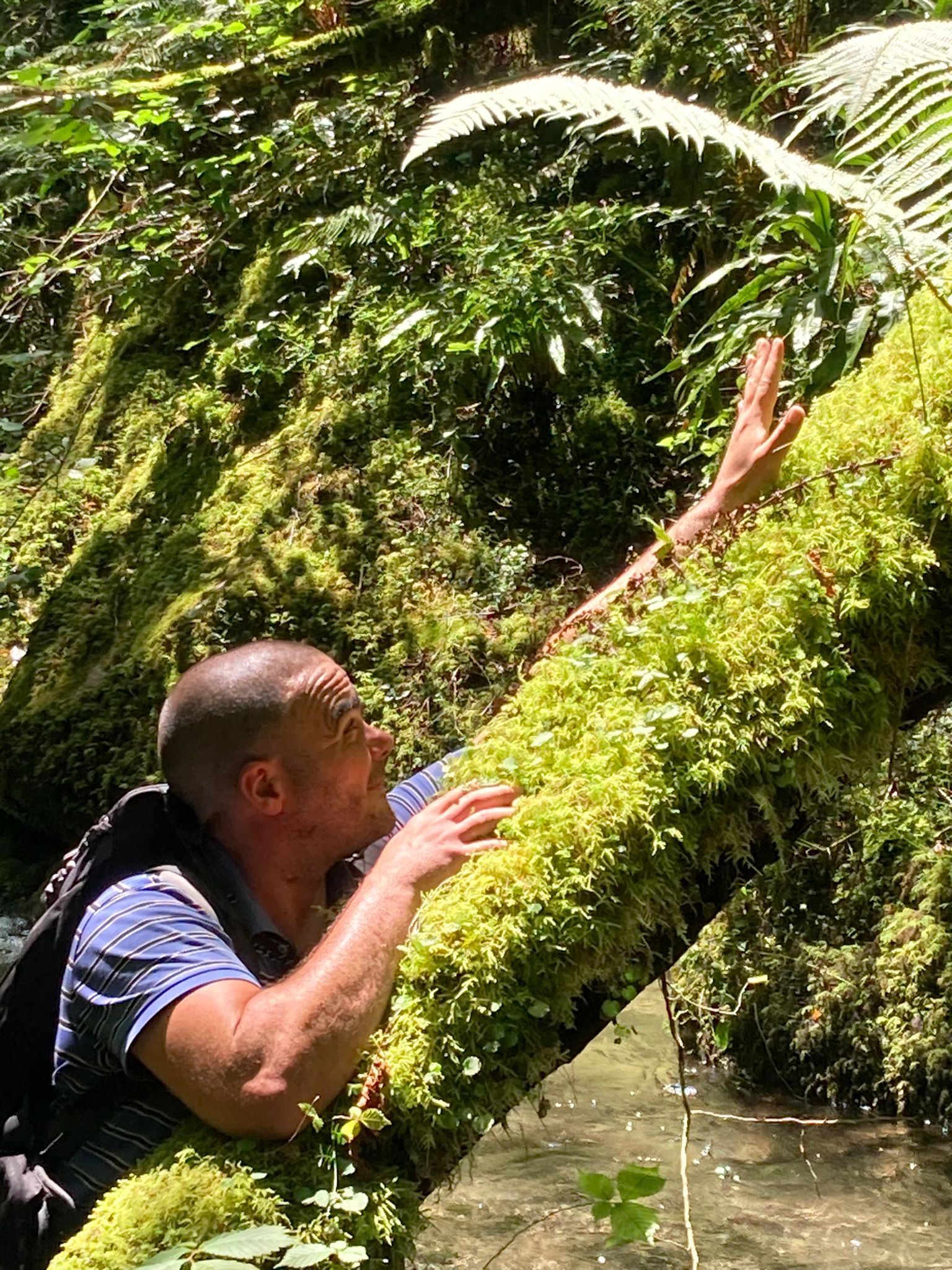 Profil de Brendon, 41 ans, Pute à Blaschette