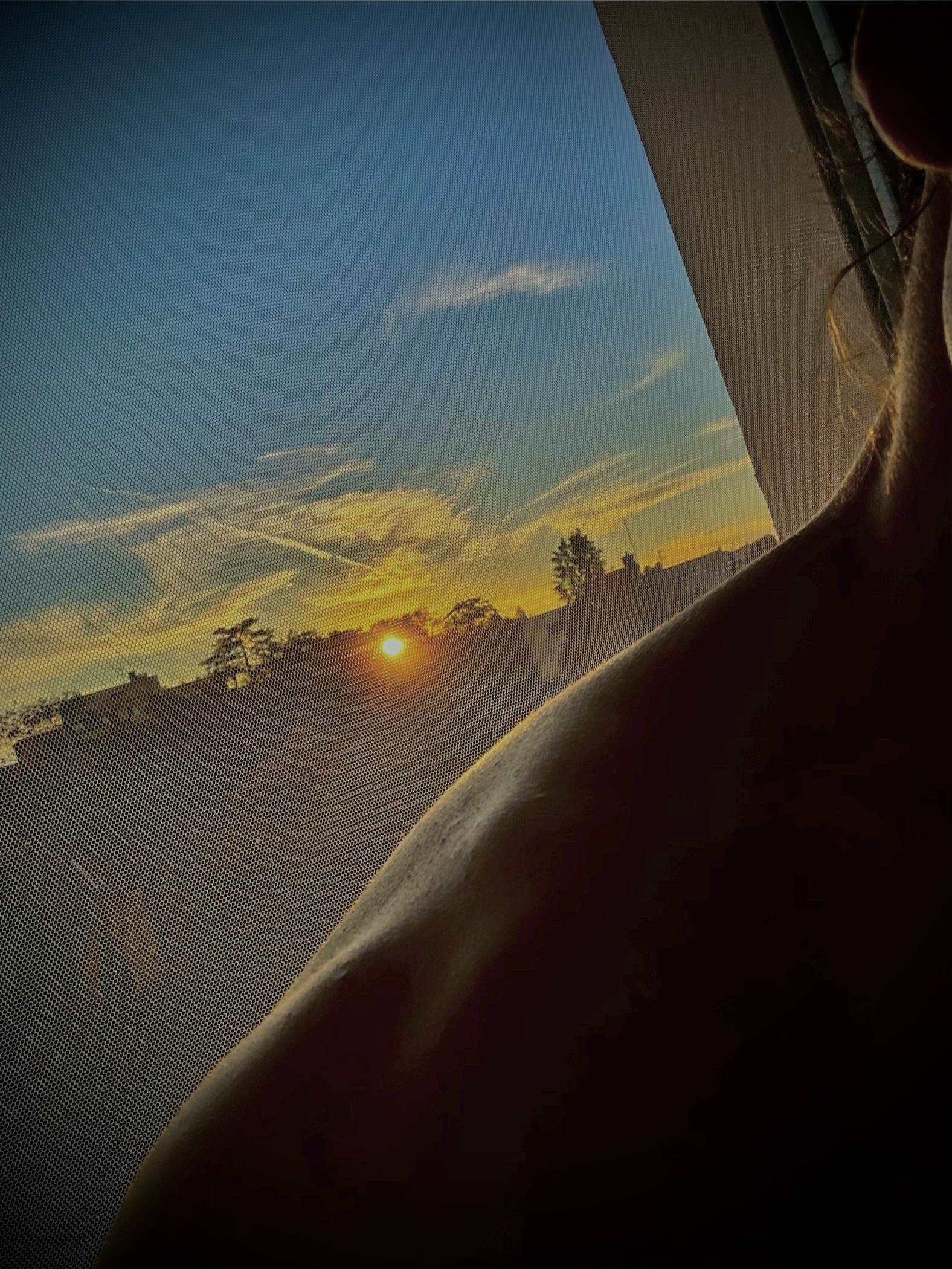 Profil de Murphy, 21 ans, Pute à Schwebach